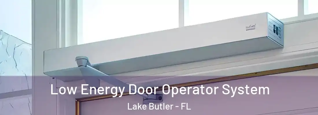 Low Energy Door Operator System Lake Butler - FL